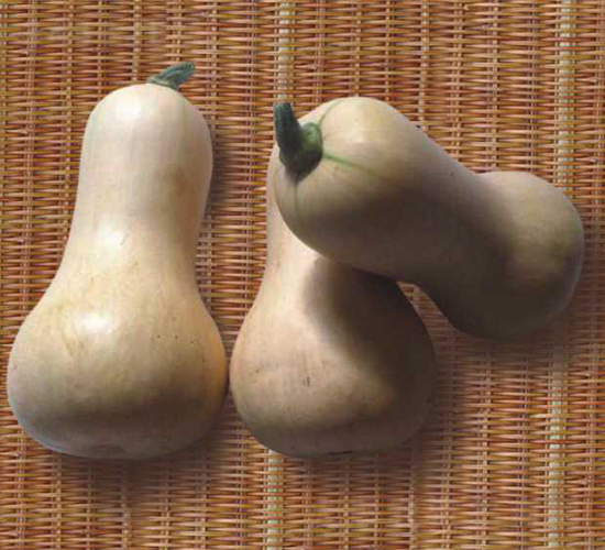 �V��8̖(h��o)�����Ϲ�-�ϹϷN��-�V��