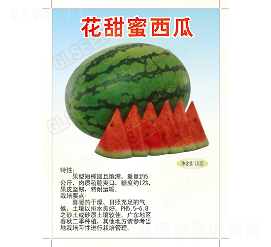 ����������-���ϷN��-�V��