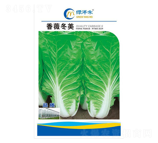 ��ޱ����-��˷N��-�G���