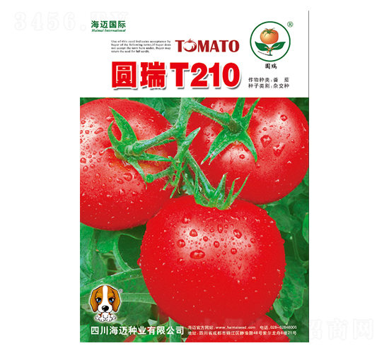 �A��T210-���ѷN��-���~���H