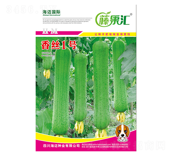 香絲1號-絲瓜種子-藤果匯-海邁國際