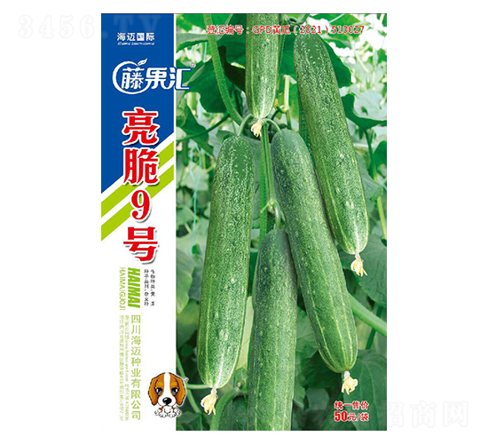 亮脆9號(hào)-黃瓜種子-藤果匯-海邁國(guó)際