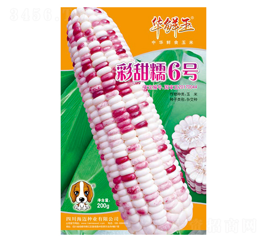 ����Ŵ6̖(h��o)-���׷N��-�A�r��-���~��(gu��)�H