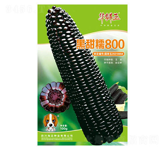 ����Ŵ800-���׷N��-�A�r��-���~��(gu��)�H