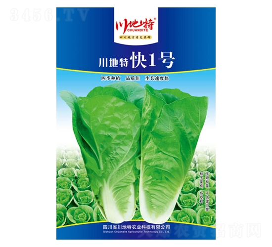 �����ؿ�1̖(h��o)-�ײ˷N��-������