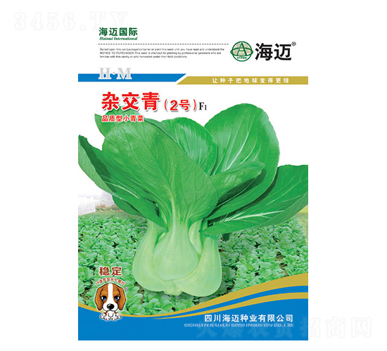 雜交青2號(hào)-小青菜種子-海邁國(guó)際