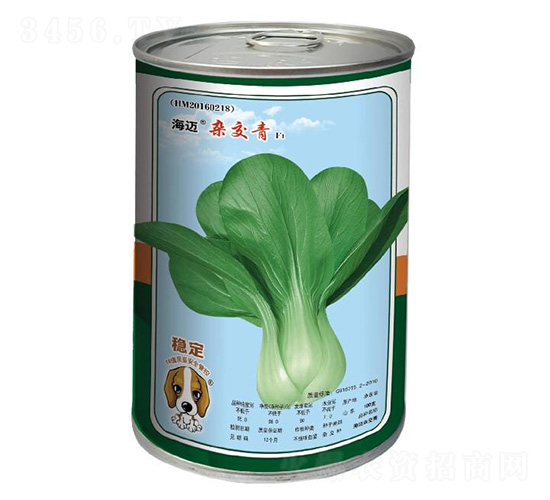 海邁雜交青-小青菜種子-海邁國際