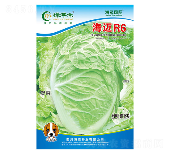 ���~R6-��ײ˷N��-���~��(gu��)�H