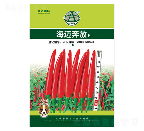 ���~����-�����N��-���~���H