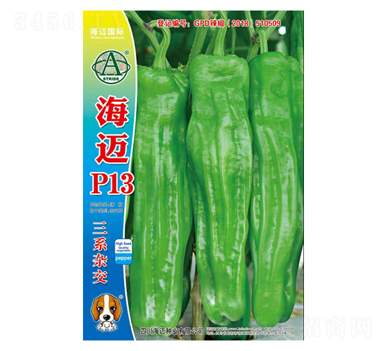 ���~P13-�����N��-���~���H