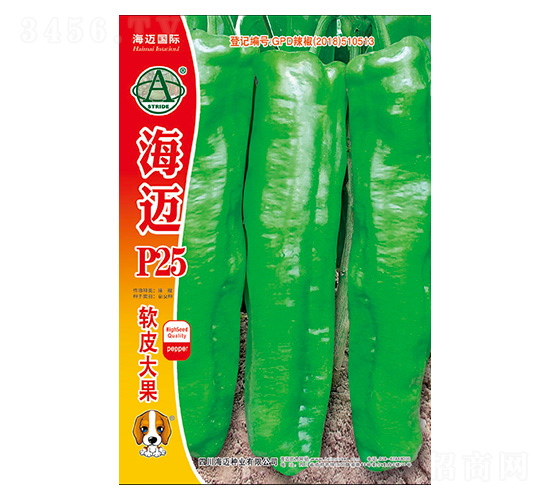 ���~P25-�����N��-���~���H