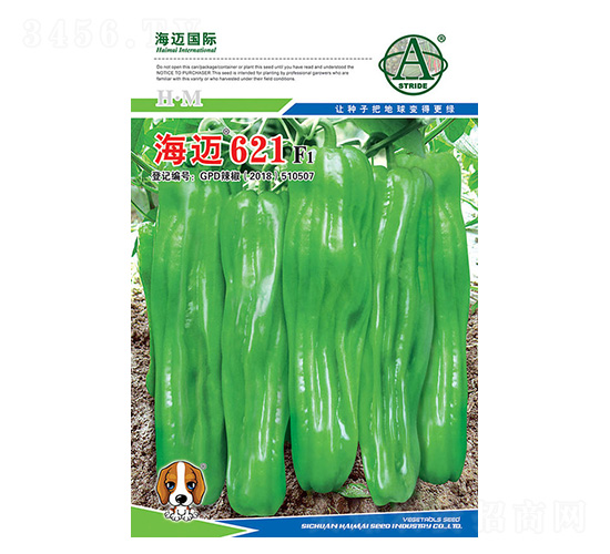 ���~621-�����N��-���~��(gu��)�H