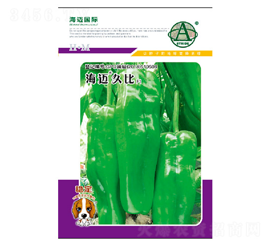 ���~�ñ�-�����N��-���~��(gu��)�H