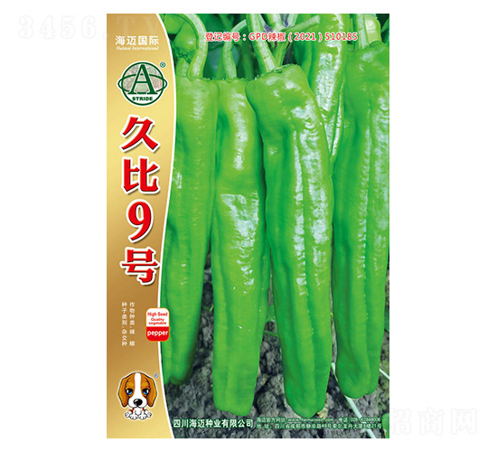 �ñ�9̖(h��o)-�����N��-���~��(gu��)�H