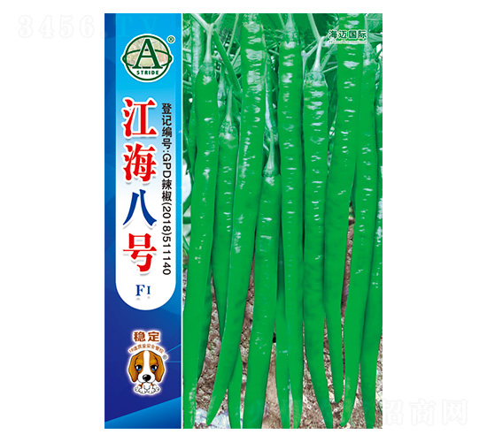 ����8̖-�����N��-���~���H