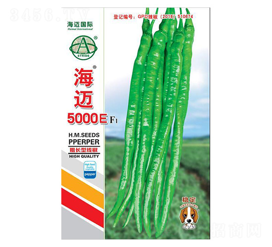 ���~5000E-�����N��-���~��(gu��)�H