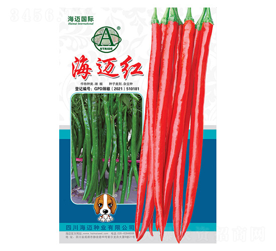 ���~�t-�����N��-���~���H