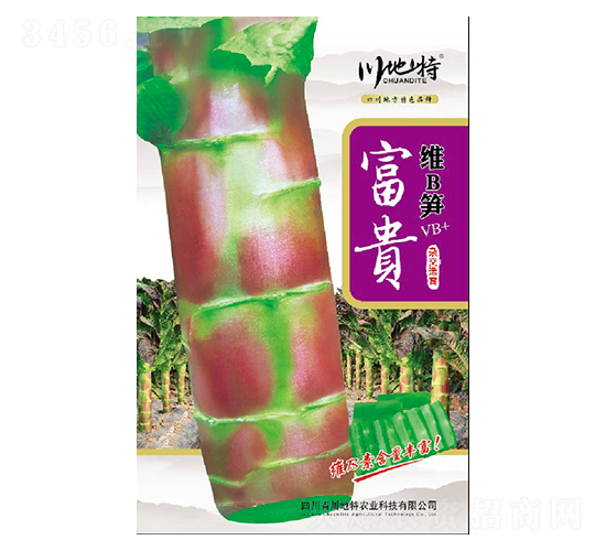 富貴-香筍種子-川地特