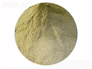 ��(f��)��������ۣ��}�V�ͣ�-�h��ʘI(y��)