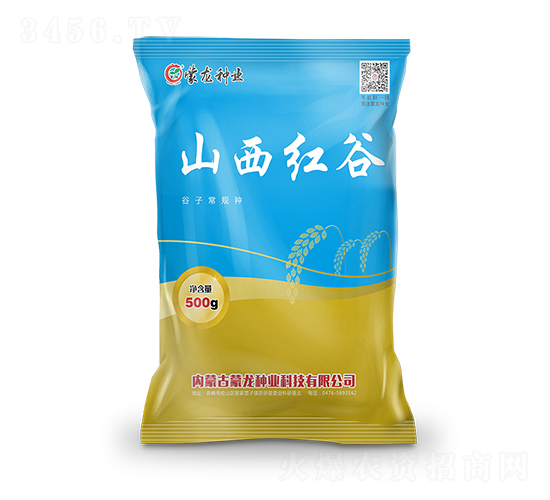 山西紅谷-谷子種子-蒙龍種業(yè)