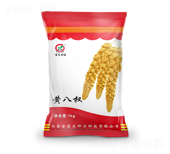 黃八杈-谷子種子-蒙龍種業(yè)