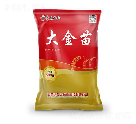 大金苗-谷子種子-蒙龍種業(yè)