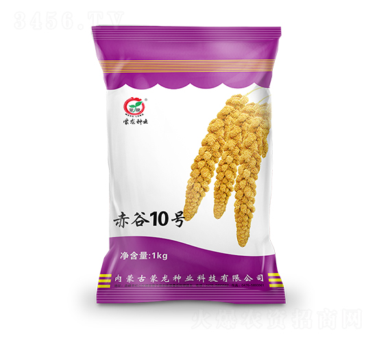 赤谷10號(hào)-谷子種子-蒙龍種業(yè)