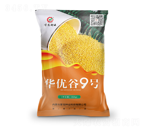 華優(yōu)谷9-谷子種子-蒙龍種業(yè)