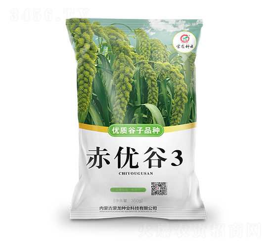 赤優(yōu)谷3-谷子種子-蒙龍種業(yè)