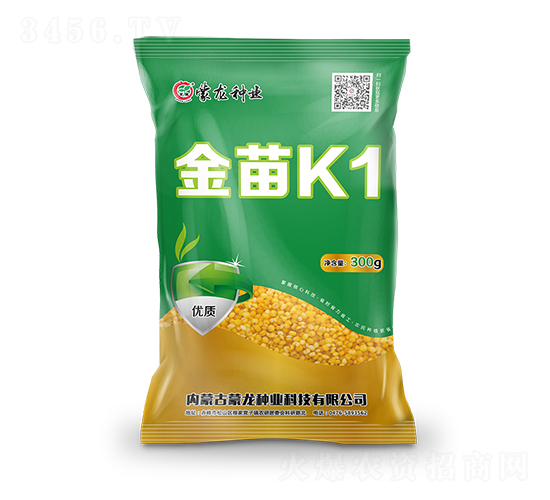 金苗K1-谷子種子-蒙龍種業(yè)