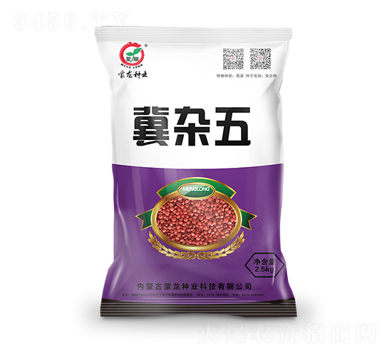冀雜五-高粱種子-蒙龍種業(yè)
