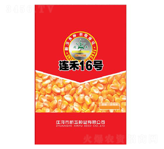 �B��16̖-���׷N��-����N�I(y��)