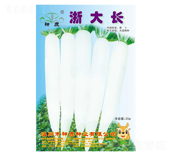 浙大長蘿卜種子-神鹿種業(yè)