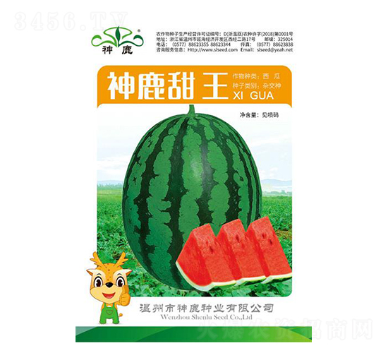神鹿甜王西瓜種子-神鹿種業(yè)