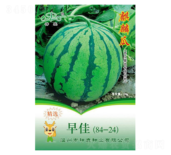 早佳（84-24）西瓜種子-神鹿種業(yè)