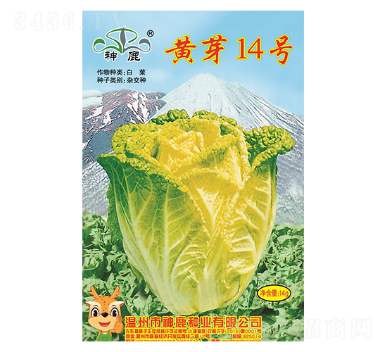 �Sѿ14̖(h��o)�ײ˷N��-��¹�N�I(y��)