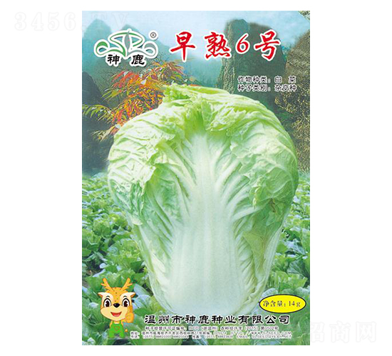 ����6̖�ײ˷N��-��¹�N�I(y��)