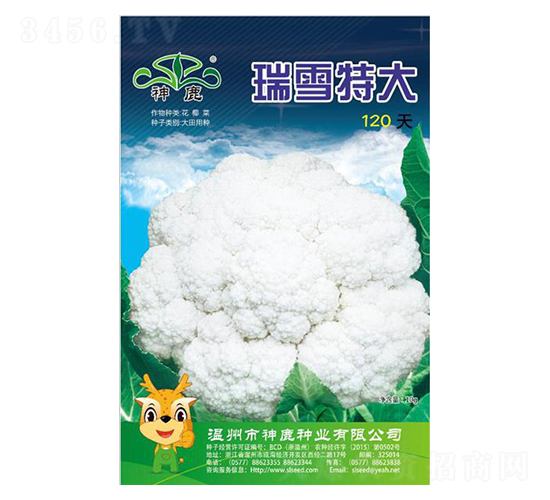 瑞雪120天-花椰菜種子-神鹿種業(yè)