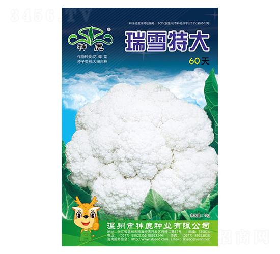 瑞雪特大60天-花椰菜種子-神鹿種業(yè)