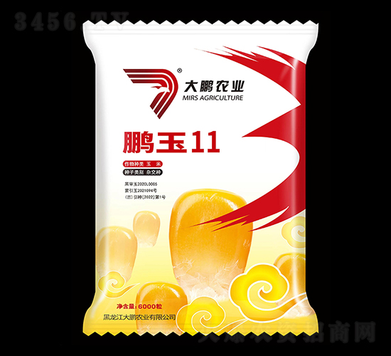 鵬玉11-玉米種子-大鵬農(nóng)業(yè)