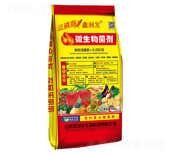 ����֬΢�������-�𝙰l(f��)