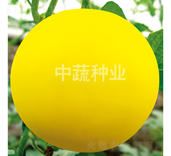 ���һ̖(h��o)-���ϷN��-���߷N�I(y��)