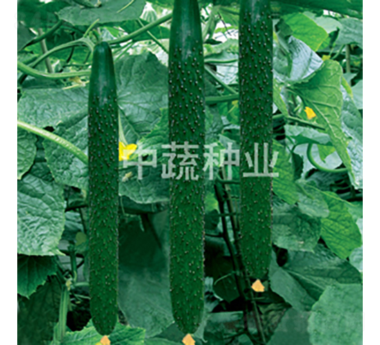 ���r(n��ng)6̖(h��o)-�S�ϷN��-���߷N�I(y��)