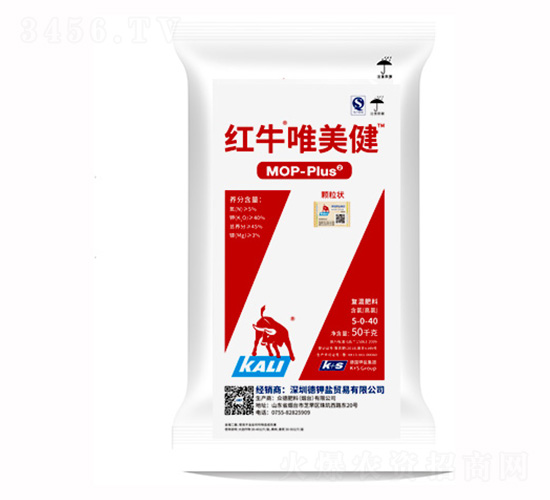 �tţΨ����-�����r�I(y��)