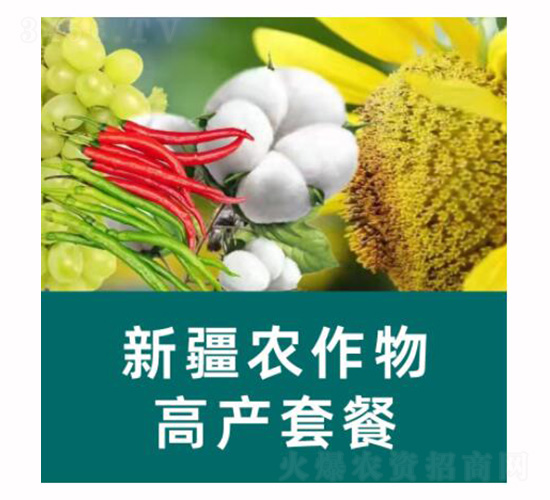 �������½��r(n��ng)����߮a(ch��n)�ײ�-�֠�Ԫ