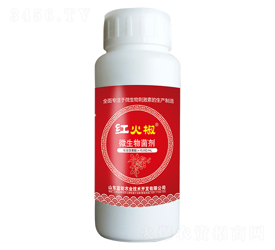 ΢�������-�t��-�{�