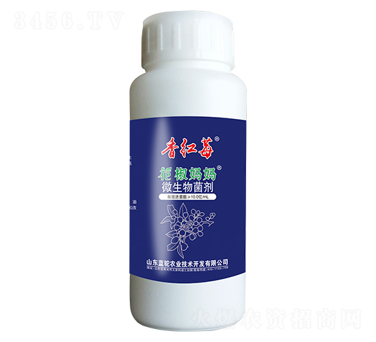 ΢�������-������������tݮ-�{�