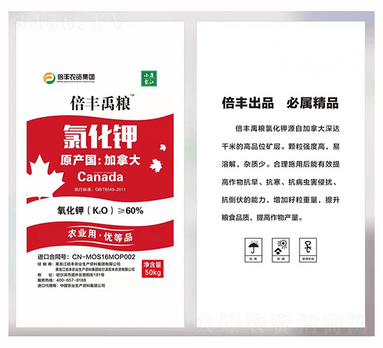 �r(n��ng)�I(y��)���Ȼ��-���S���Z-���S�r(n��ng)�I(y��)