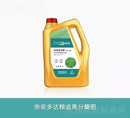 �ΰ����_�Z������Y��-�ΰ����B(t��i)