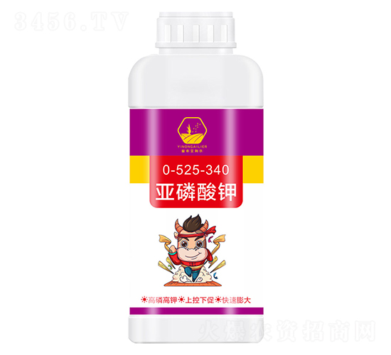 �������-����������